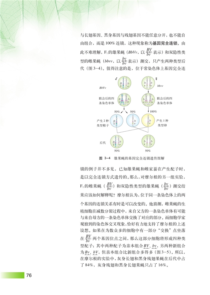 沪科版高中高三生命科学生命科学(拓展)基因链锁和交换定律第2页