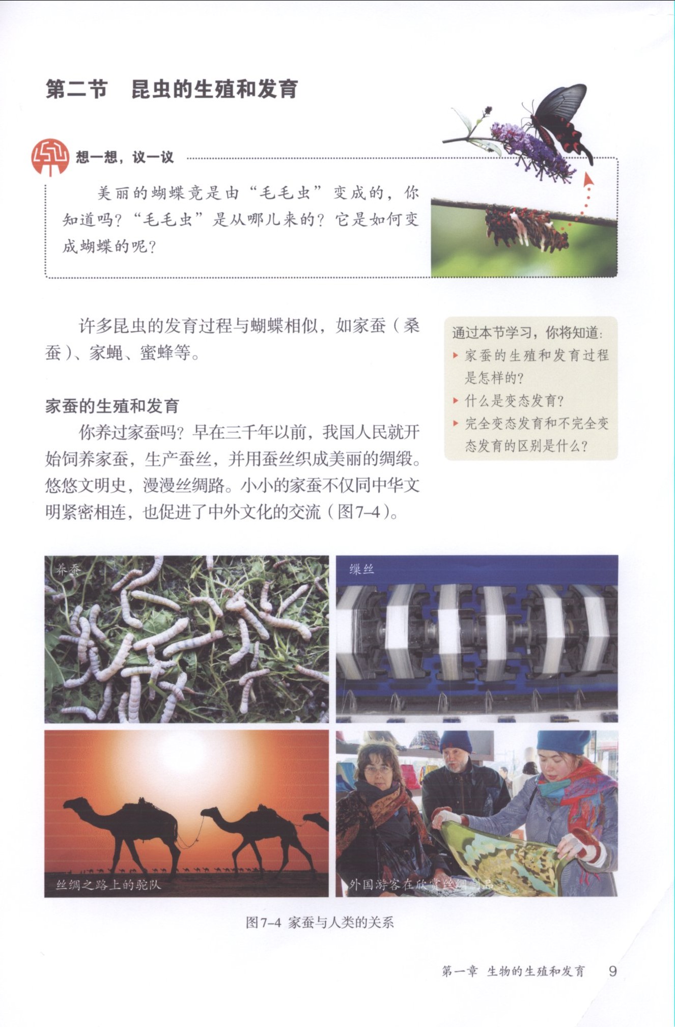 2013部编版八年级生物下册第二节 昆虫的生殖和发育第0页