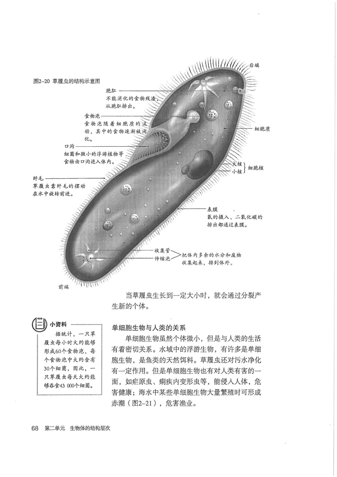 人教版初中初一生物上册单细胞生物第2页