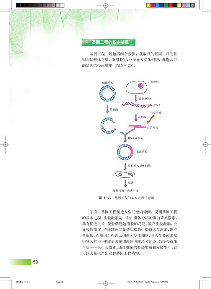 沪科版高中高二生命科学生命科学（第二册）基因工程与转基因生物第2页