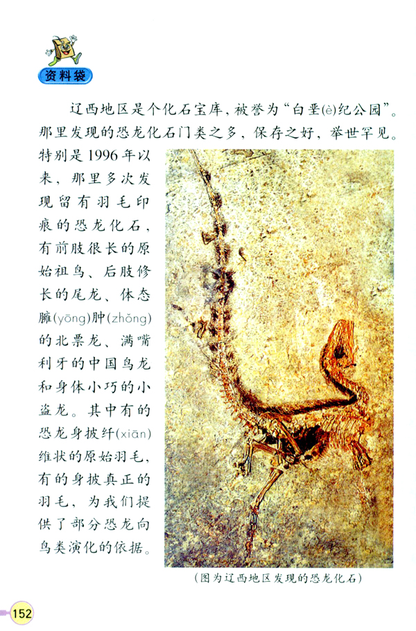 人教版四年级语文上册31.飞向蓝天的恐龙第4页