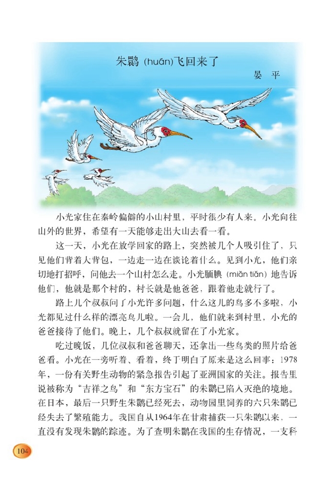 北师大版小学四年级语文下册朱鹮飞回来了 （晏平）第0页