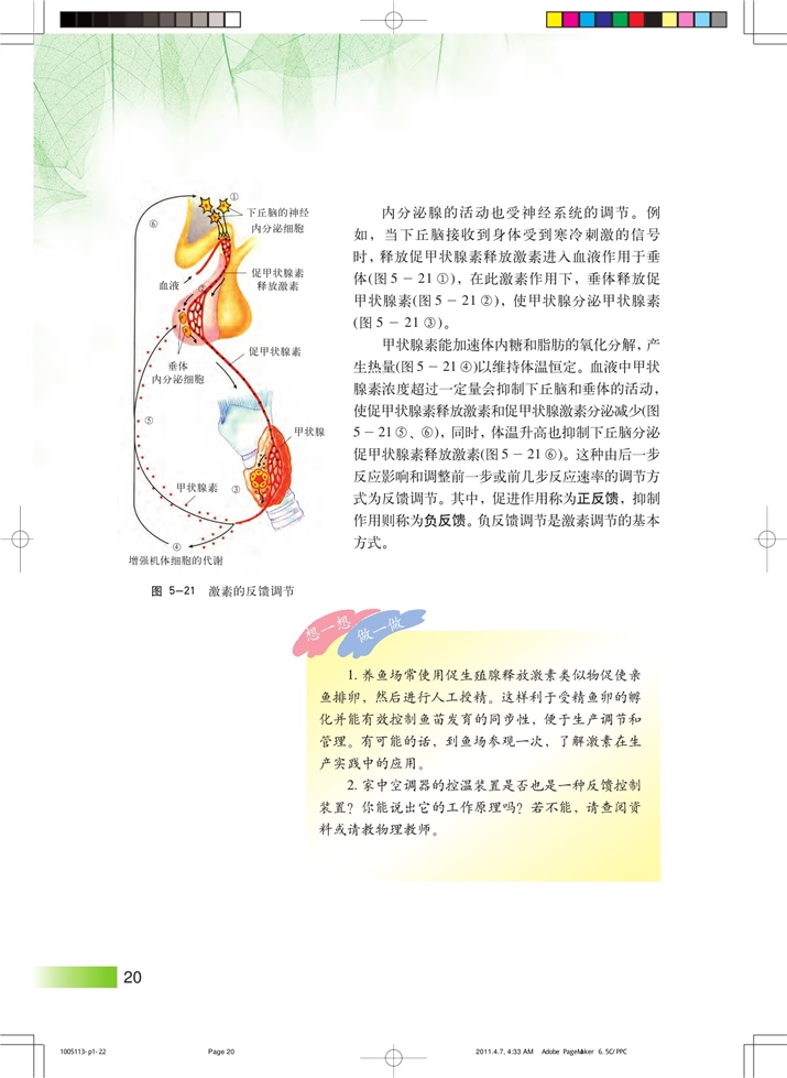 沪科版高中高二生命科学生命科学（第二册）内分泌系统中信息的传递和调节第4页