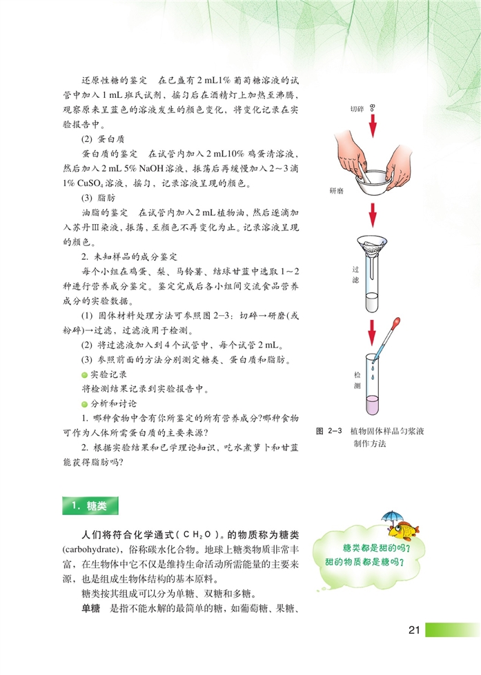 沪科版高中高一生命科学生命科学（第一册）生物体中的有机化合物第1页