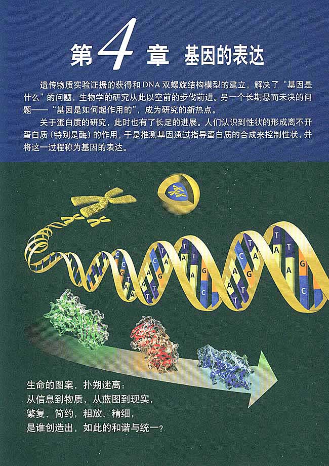 人教版高中高二生物必修2基因的表达第0页
