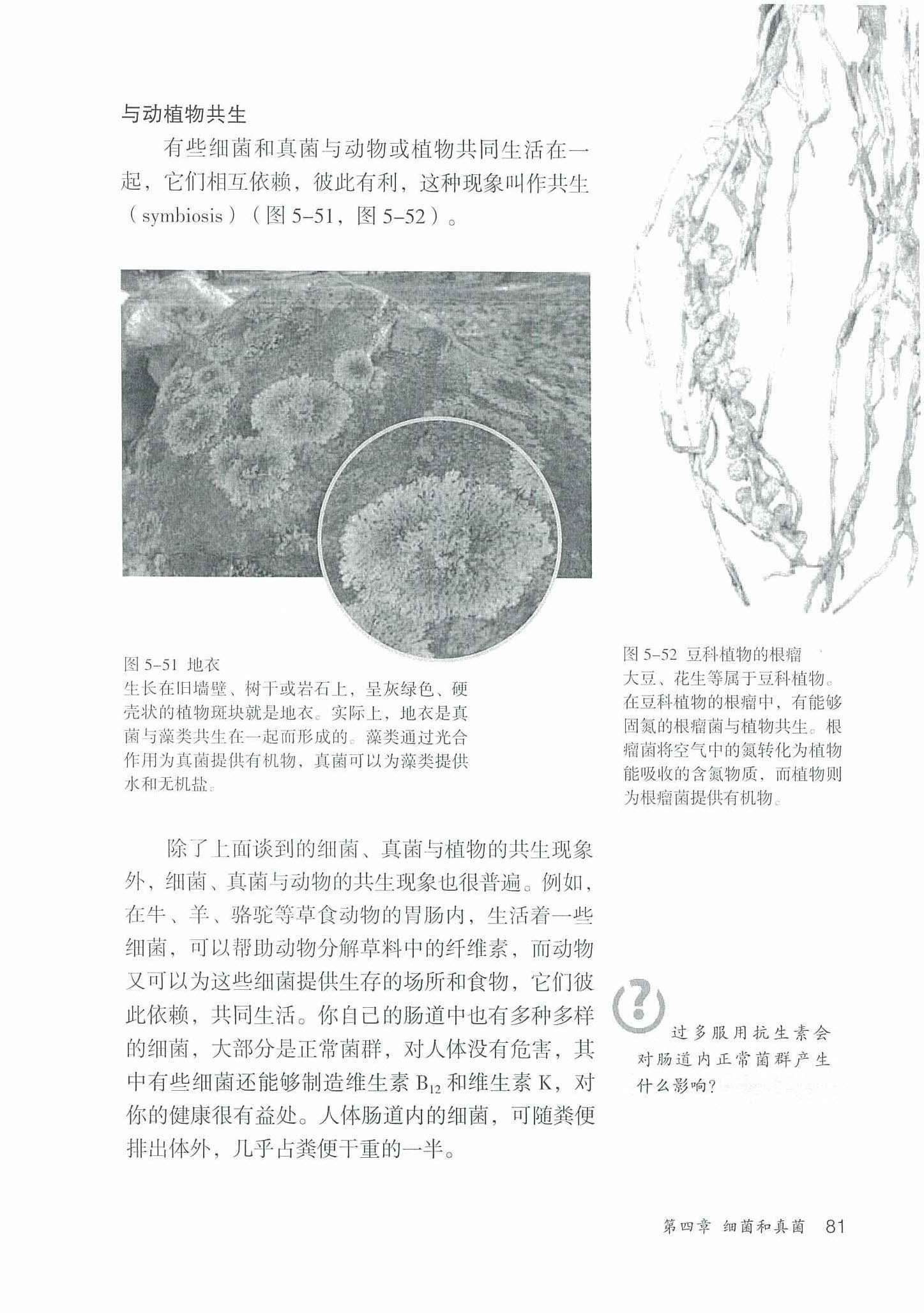 2013部编版八年级生物上册细菌和真菌与动植物共生第0页