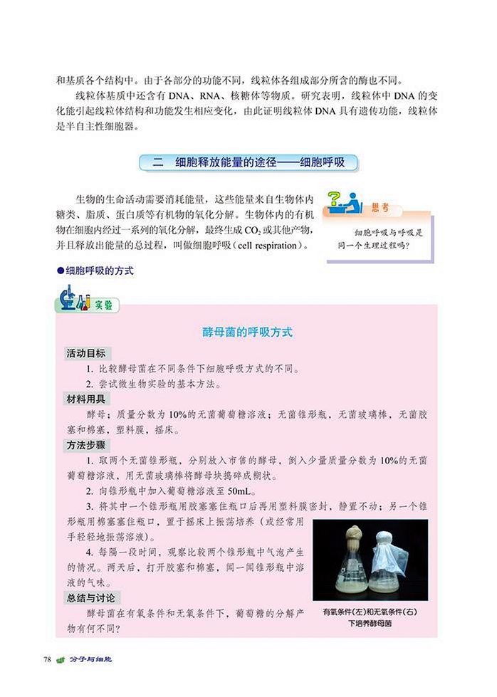 北师大版高中高一生物必修1能量转换与释放第2页