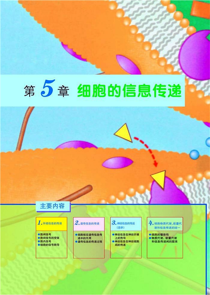 北师大版高中高一生物必修1细胞的信息传递第0页