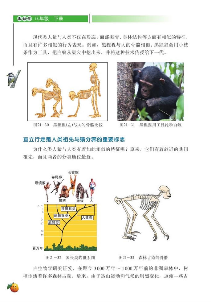 北师大版初中生物初二生物下册人类的起源与进化第3页
