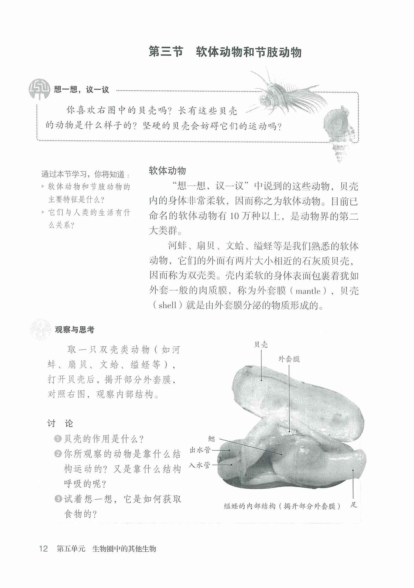 2013部编版八年级生物上册第三节 软体动物和节肢动物第0页