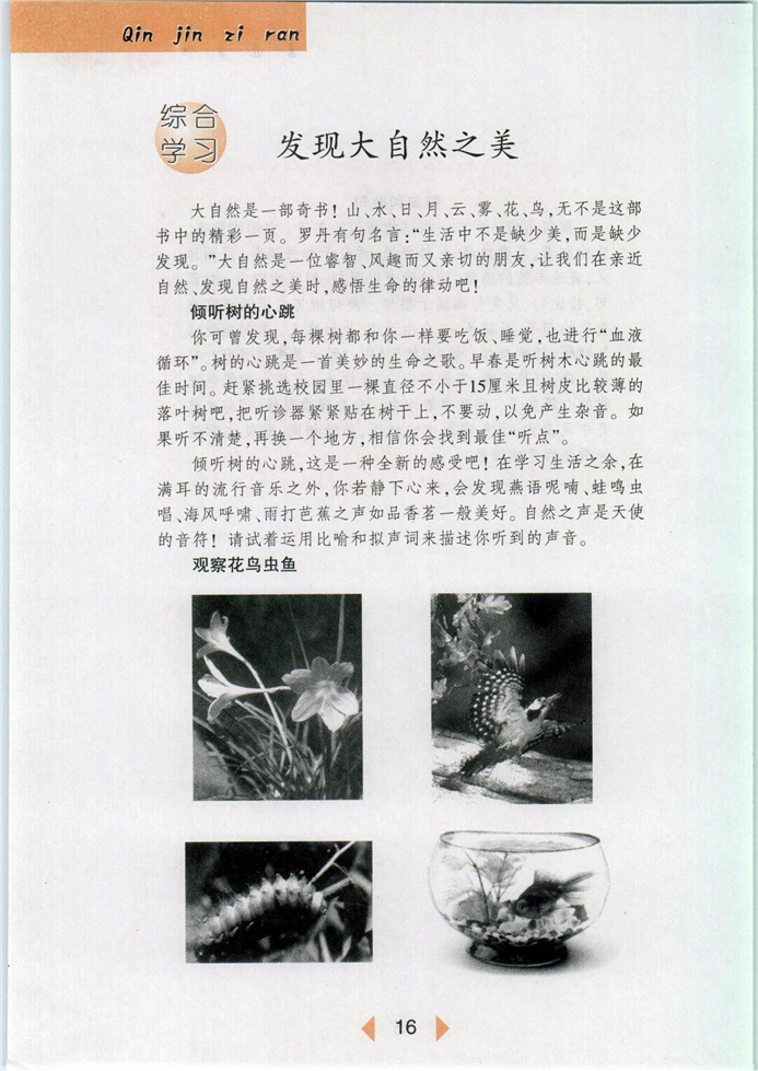 沪教版初中初一语文下册发现大自然之美第0页