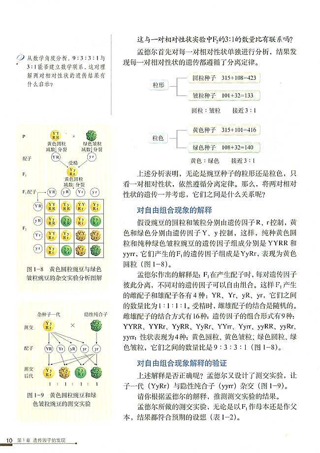 人教版高中高二生物必修2孟德尔的豌豆杂交实验（二）第1页