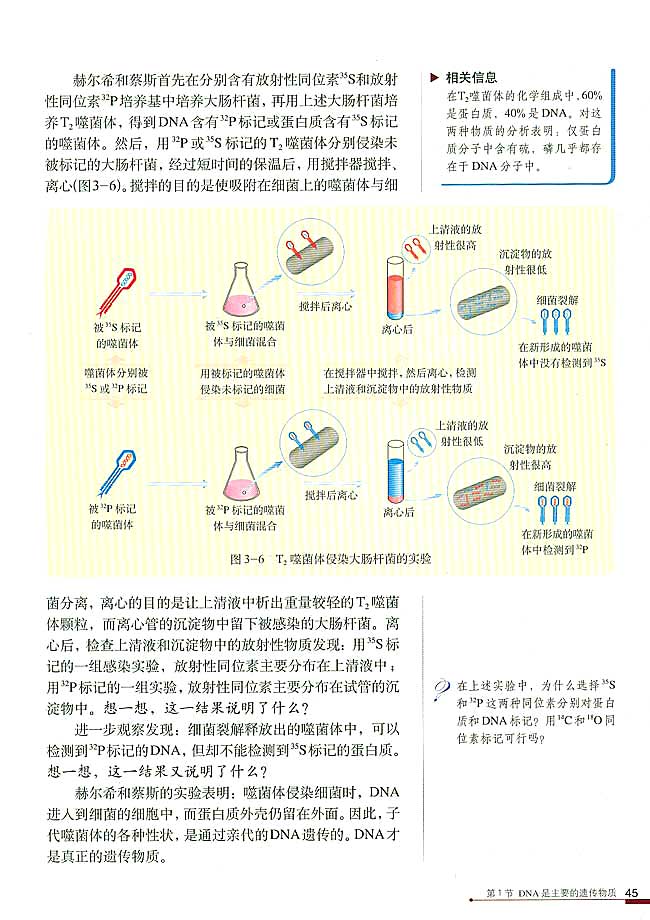 人教版高中高二生物必修2DNA是主要的遗传物质第3页