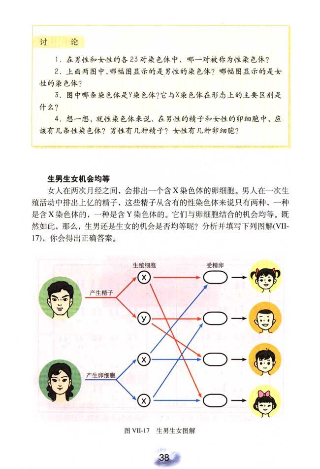 2013部编版八年级生物下册生男生女机会均等第0页