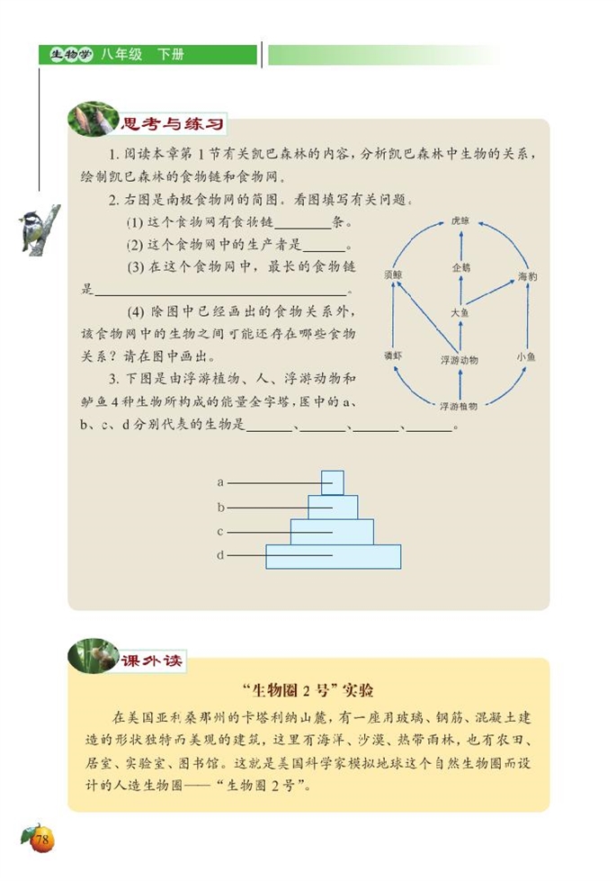 北师大版初中生物初二生物下册生态系统的结构和功能第6页