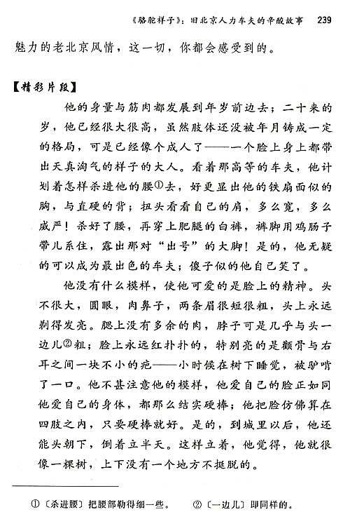 人教版八年级语文上册《骆驼祥子》：旧北京人力车夫的心酸故事第2页