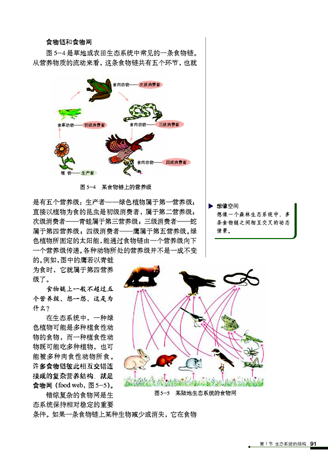 人教版高中高二生物必修3生态系统的结构第3页