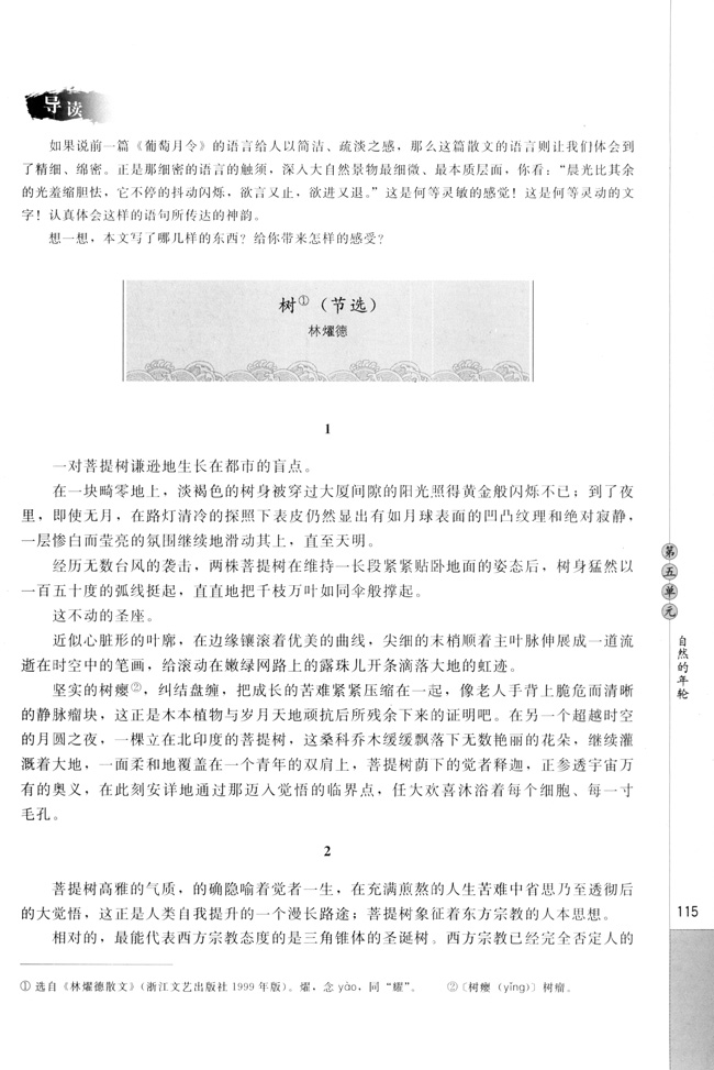 高三语文中国现代诗歌散文欣赏树（节选）   林耀德第0页
