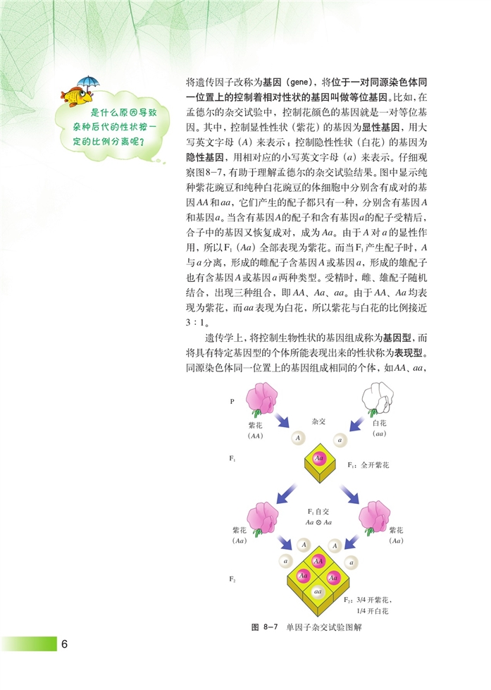 沪科版高中高三生命科学生命科学（第三册）遗传规律第4页