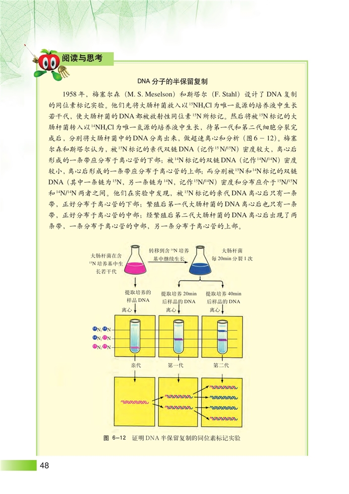 沪科版高中高二生命科学生命科学（第二册）DNA复制和蛋白质合成第1页