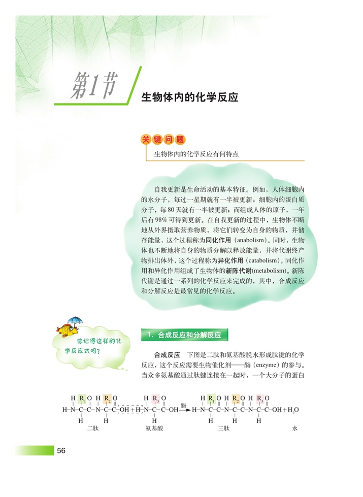 沪科版高中高一生命科学生命科学（第一册）生物体内的化学反应第0页