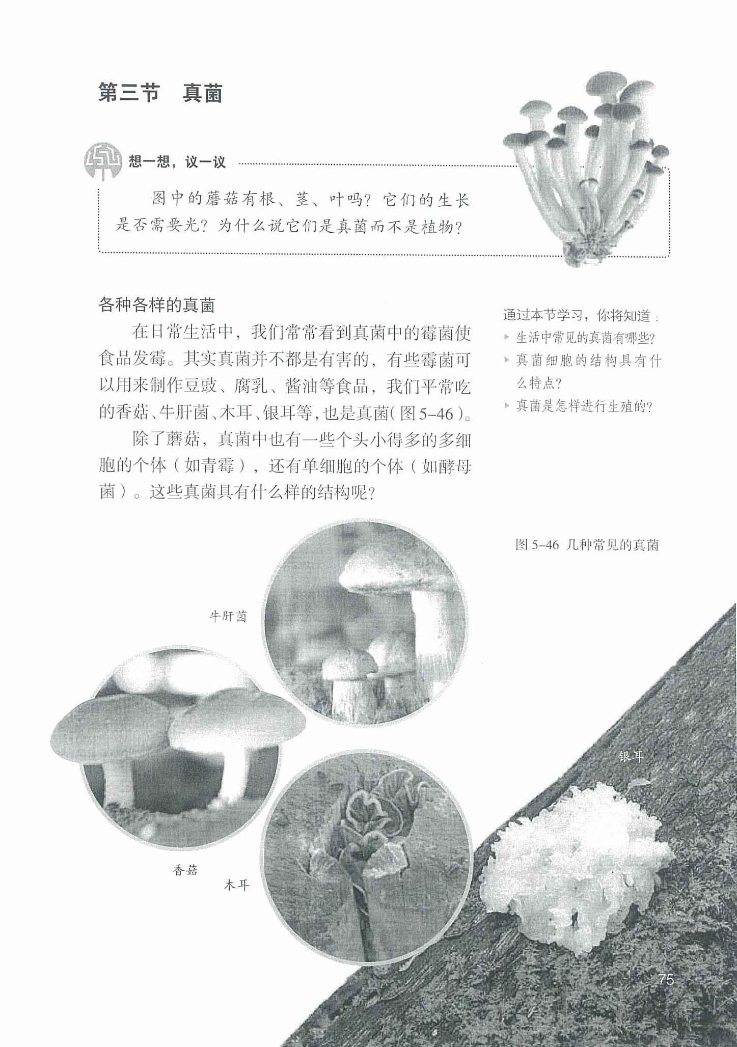 2013部编版八年级生物上册第三节 真菌第0页