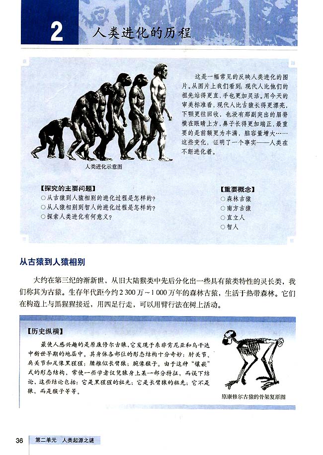 人教版高三历史选修五第2课 人类进化的历程第0页