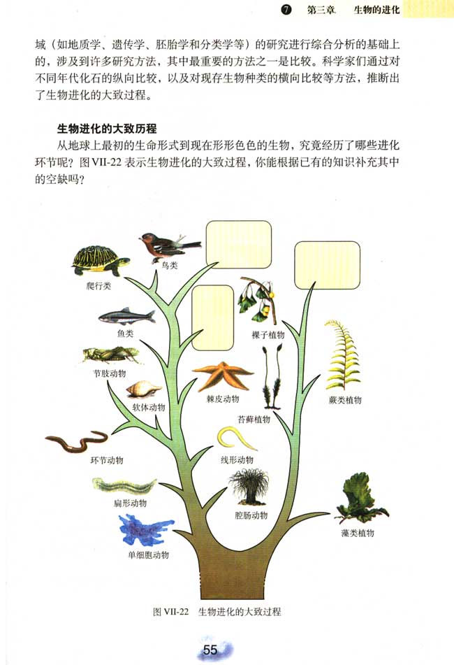 2013部编版八年级生物下册第二节 生物进化的历程第2页