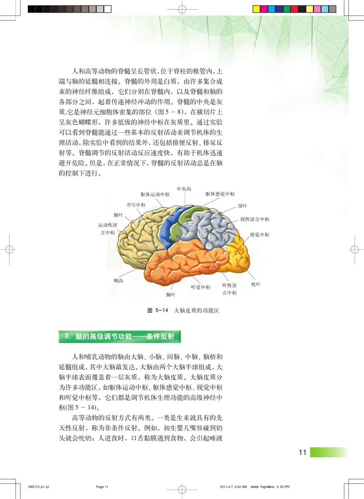 沪科版高中高二生命科学生命科学（第二册）神经系统中信息的传递和调节第5页