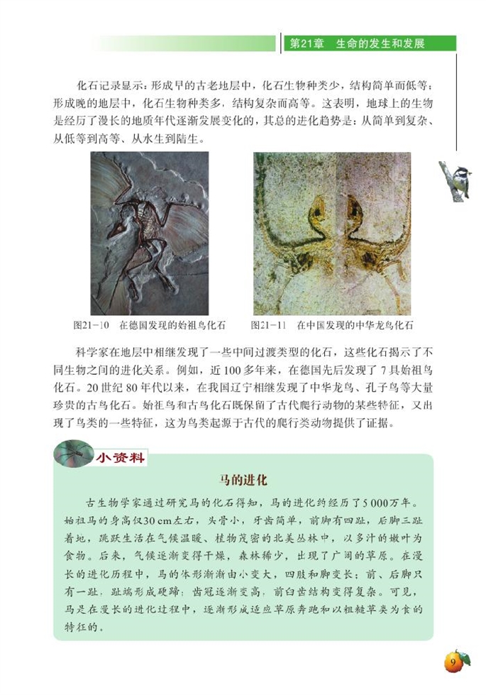 北师大版初中生物初二生物下册生物的进化第4页