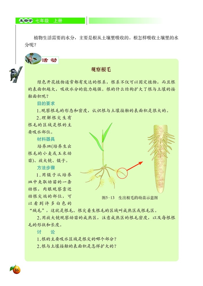 北师大版初中生物初一生物上册吸收作用第1页