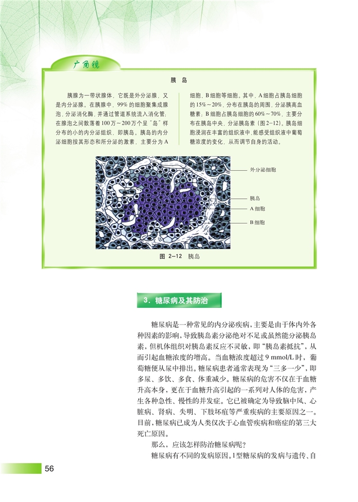 沪科版高中高三生命科学生命科学(拓展)血糖的平衡及其调节第3页