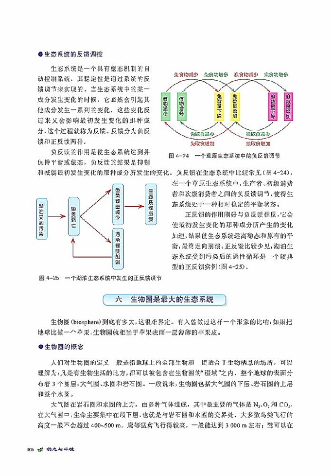 北师大版高中高二生物必修3生态系统是一个相对稳定的系统第16页