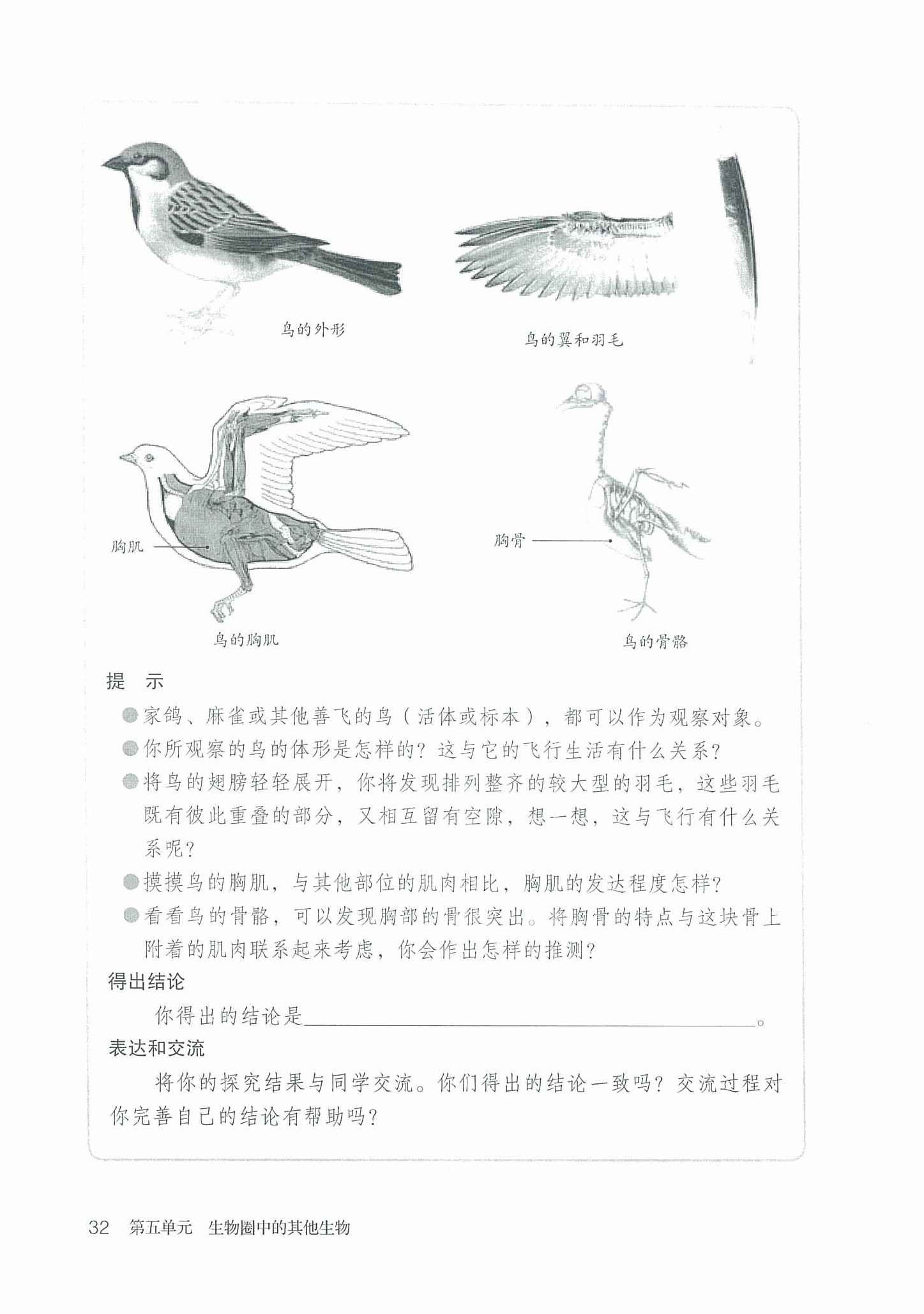 2013部编版八年级生物上册鸟适于飞行的形态结构特点第0页