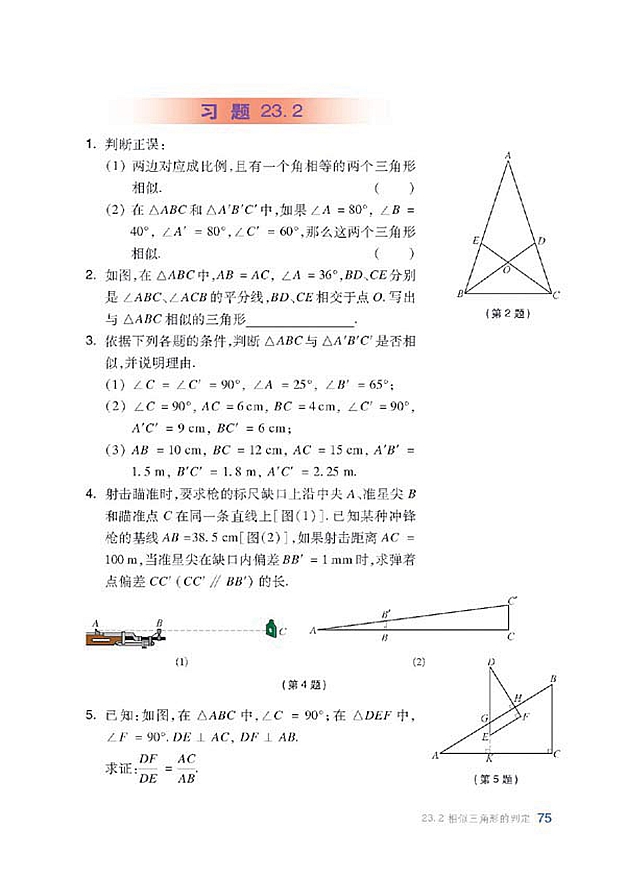 沪科版初中数学初三数学上册相似三角形的判定第8页