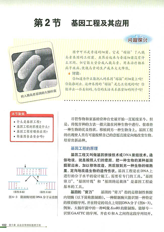 人教版高中高二生物必修2基因工程及其应用第0页