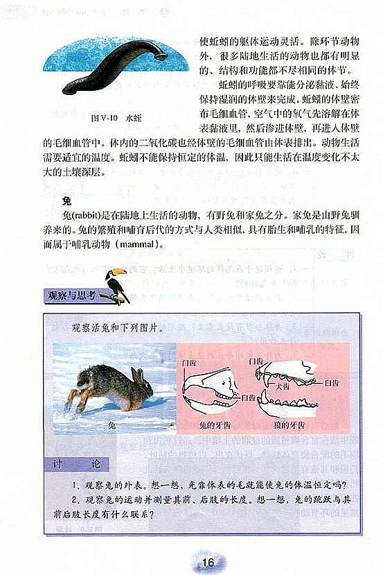 人教版初中初二生物上册陆地生活的动物第4页