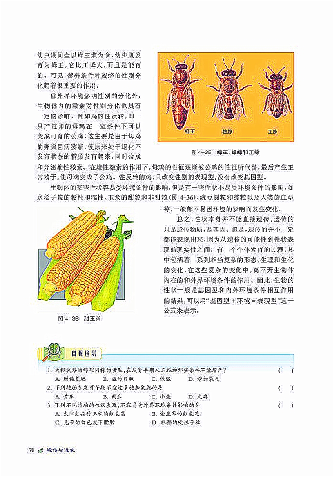 北师大版高中高一生物必修2环境对遗传信息表达的影响第3页