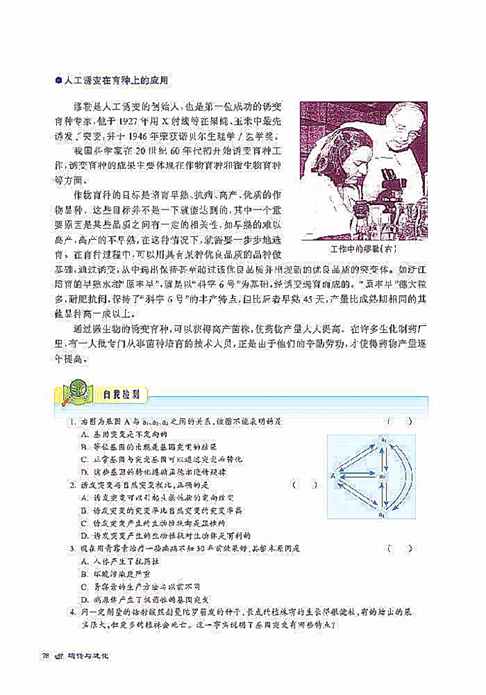 北师大版高中高一生物必修2基因突变第4页