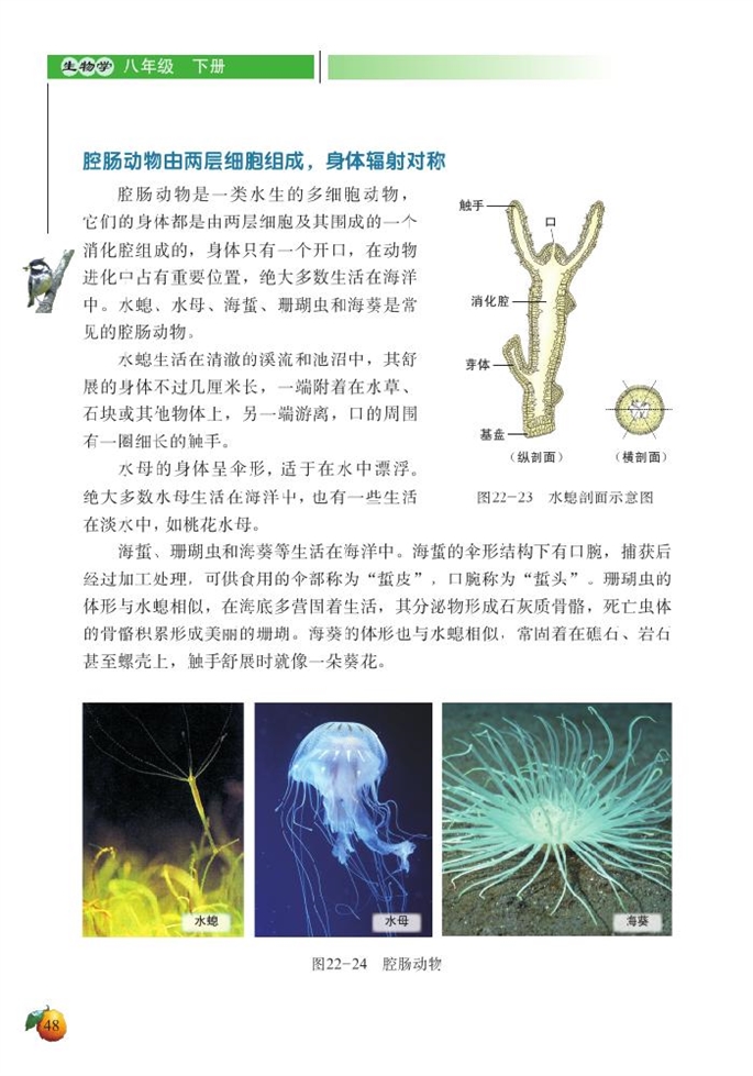 北师大版初中生物初二生物下册动物的主要类群第3页