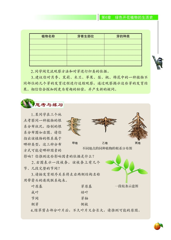 北师大版初中生物初一生物上册营养器官的生长第6页