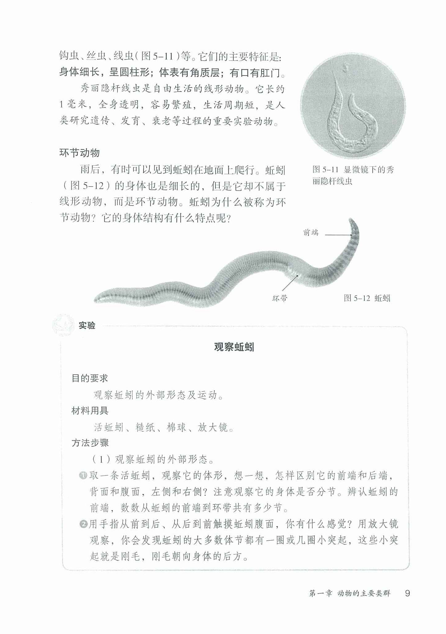 2013部编版八年级生物上册环形动物第0页