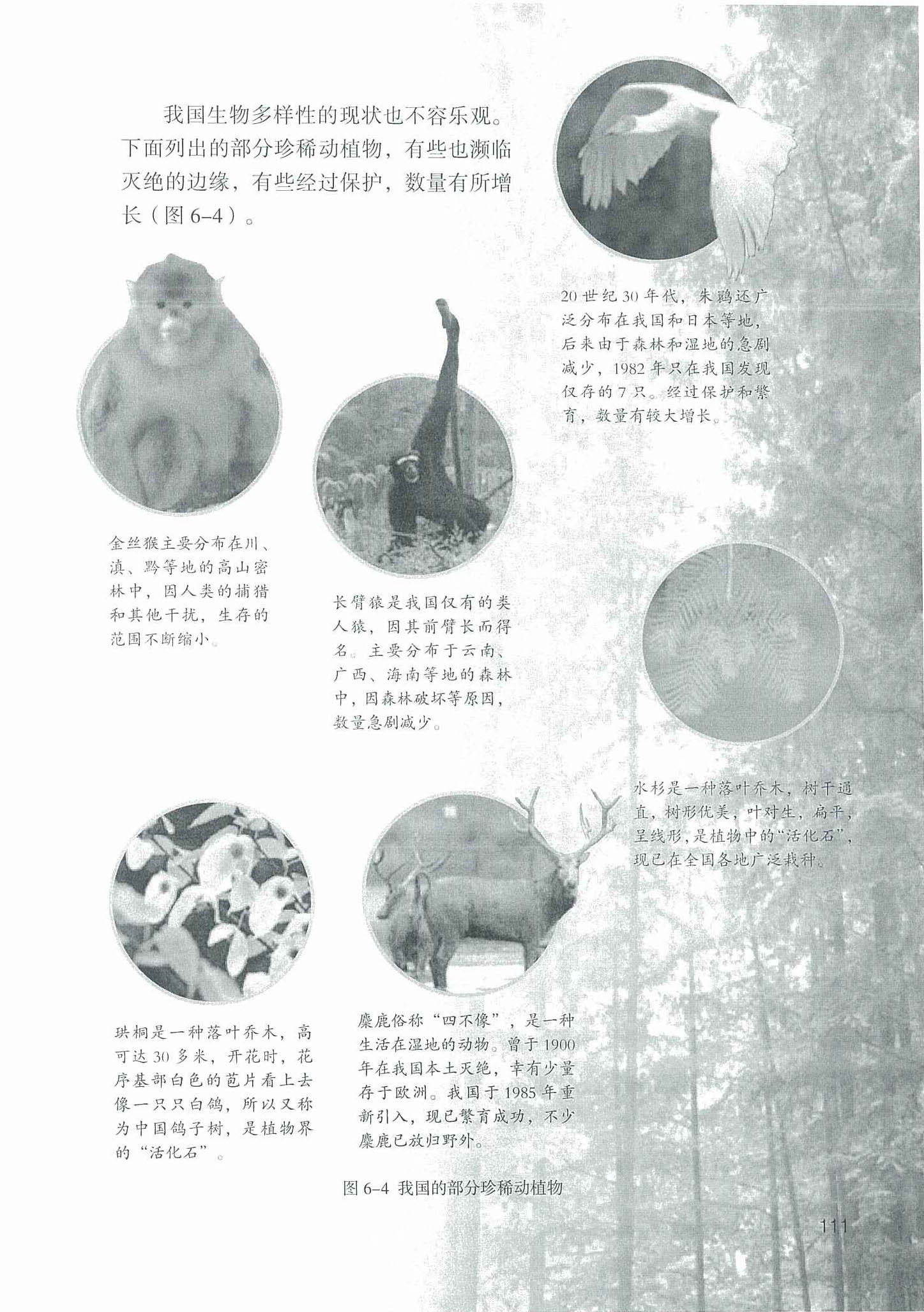 2013部编版八年级生物上册生物多样性面临的威胁及原因第0页