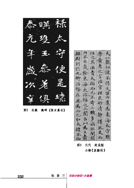 北师大版初中语文初二语文下册书法的技巧•结构第3页