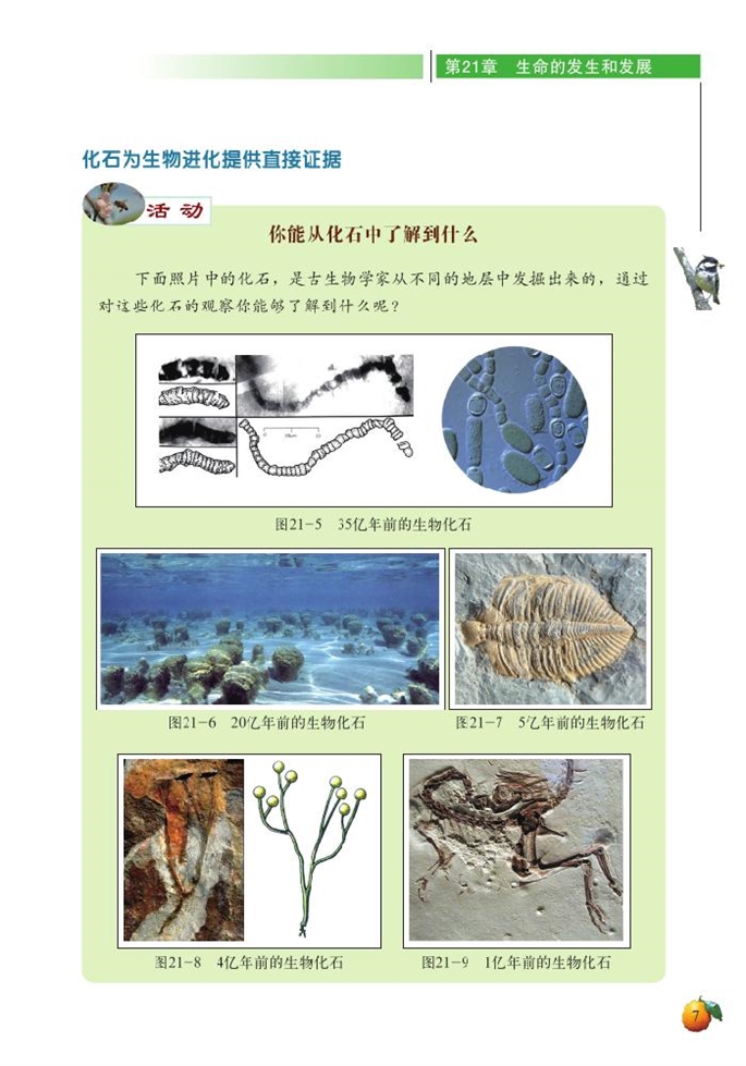 北师大版初中生物初二生物下册生物的进化第2页