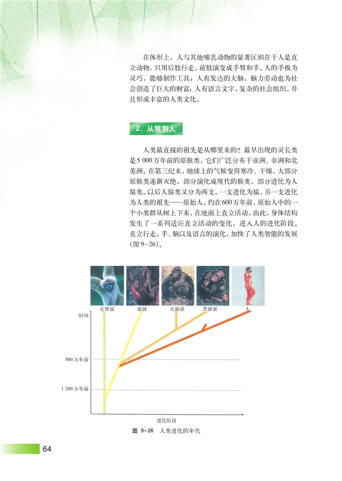 沪科版高中高三生命科学生命科学（第三册）人类的起源和发展第1页