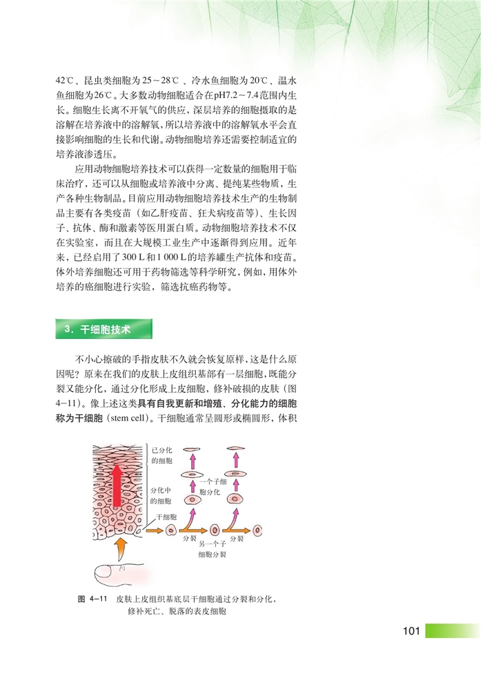 沪科版高中高三生命科学生命科学(拓展)细胞工程第6页