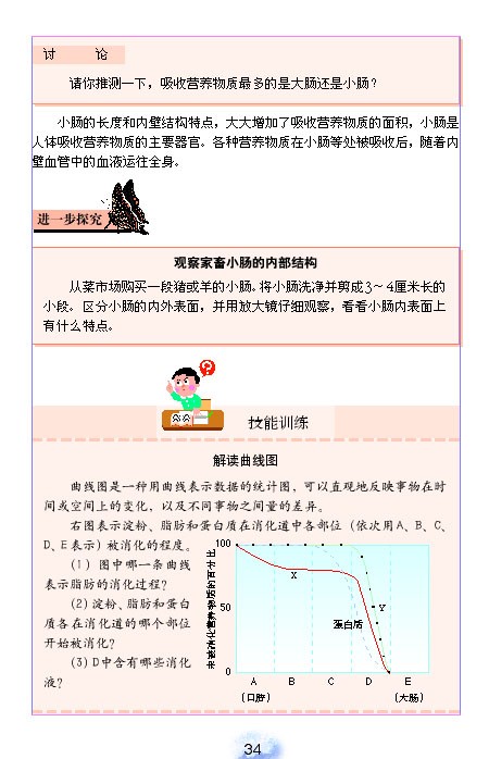 人教版初中初一生物下册消化和吸收第5页