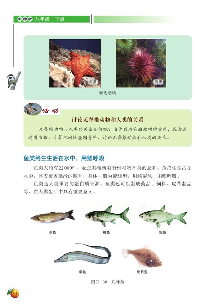 北师大版初中生物初二生物下册动物的主要类群第9页