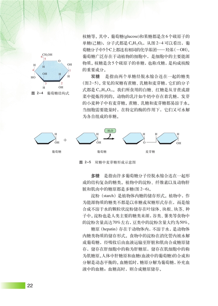 沪科版高中高一生命科学生命科学（第一册）生物体中的有机化合物第2页